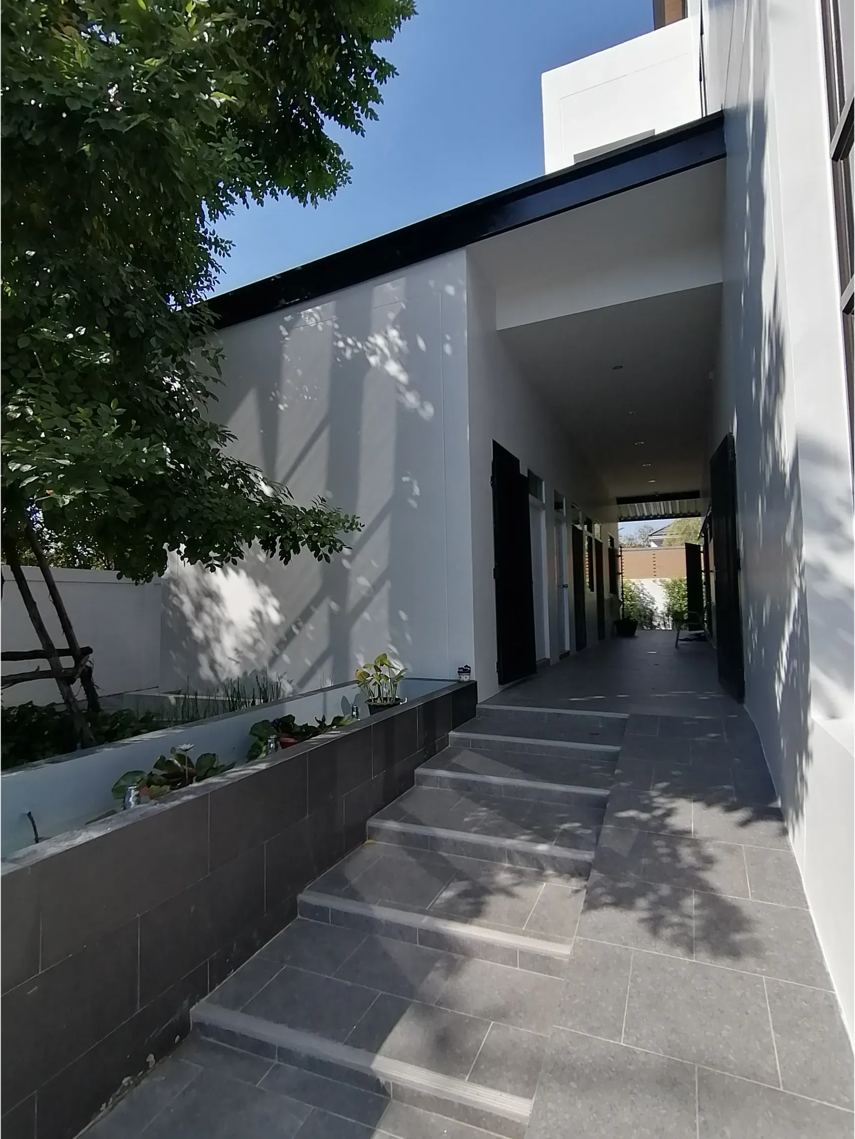 undefined1